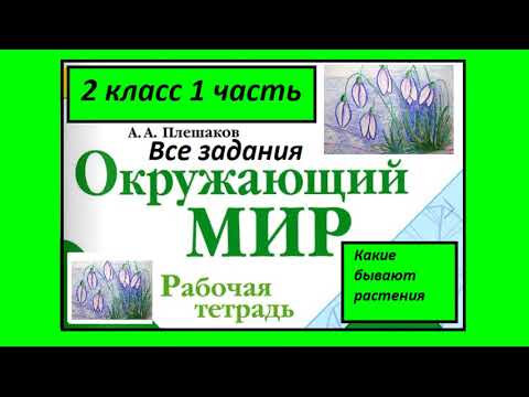 Видео: Окружающий мир 2 класс рабочая тетрадь. Какие бывают растения. Все задания