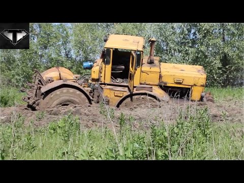 Видео: Трактора в работе. Трактора К-700, К-701, ДТ-75, МТЗ-82 по бездорожью.