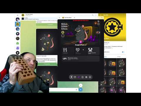 Видео: The Stars Bank  (3 сезон) 1 000 000 $