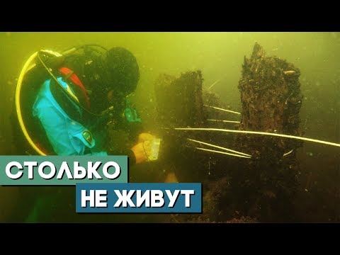 Видео: Остров, который сейчас обсуждает весь Браслав. Неожиданная находка в мутной воде