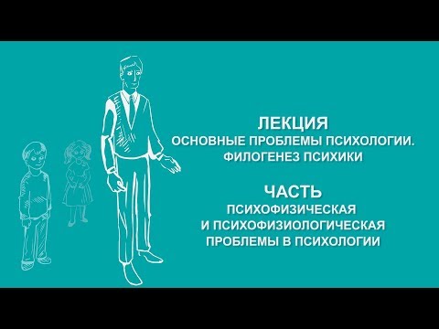 Видео: Ольга Ильина: Психофизическая и психофизиологическая проблемы в психологии | Вилла Папирусов