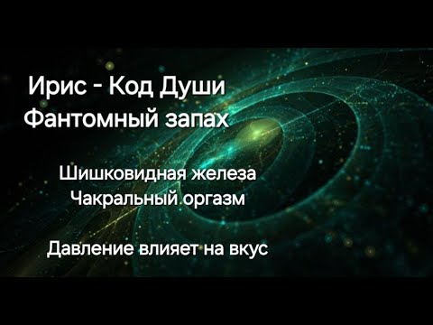 Видео: 12 чакр. Телепатия с самим собой. Манадический триггер. Шлейф Судьбы. Женщина и мозг. Fraktale.