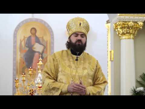 Видео: О святости и святых людях