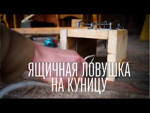 Видео: Ящичная ловушка на куницу. Как собрать и что представляет комплект.