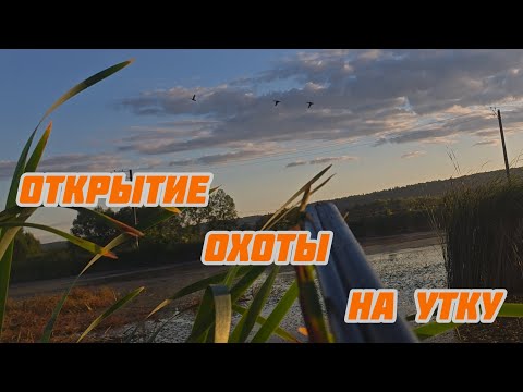 Видео: 242-Открытие охоты на утку.(16-17.08.2025)