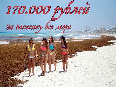 Видео: Мексика.Саргассовые водоросли.Отель SANDOS CARACOL ECO EXPERIENCE RESORT 5*