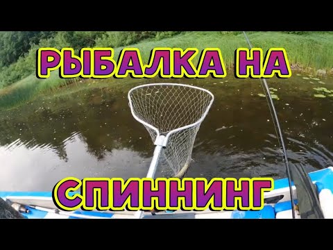 Видео: Рыбалка с ночёвкой, река Унжа.