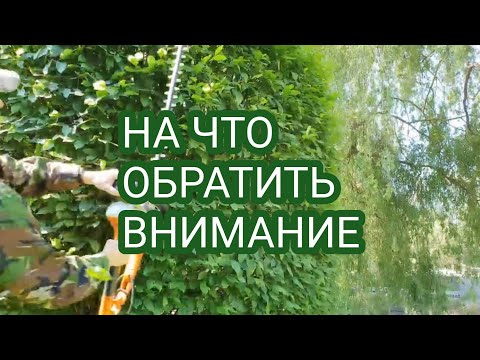 Видео: КАК ВЫБРАТЬ КУСТОРЕЗ ИЛИ САДОВЫЕ ЭЛЕКТРОНОЖНИЦЫ.