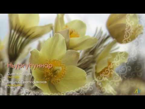 Видео: Ньургуһуннар. Сэргэй