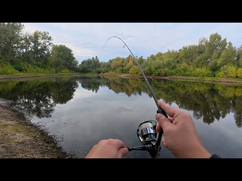 Видео: DUO Tetra Works React TWRT 55 Снова в строю