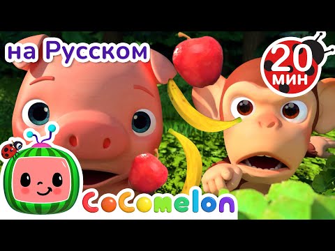 Видео: Яблоки или бананы?🍌🍎 | CoComelon на русском — Детские песенки
