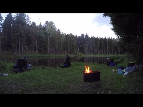 Видео: Рыбалка на Августовском канале.