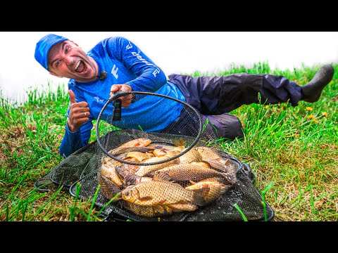 Видео: Рыбалка 2020. ЛОВЛЯ КАРАСЯ на фидер. не БЕШЕНЫЙ КЛЕВ. Feeder fishing tv  фидер 2020 Vlog 51