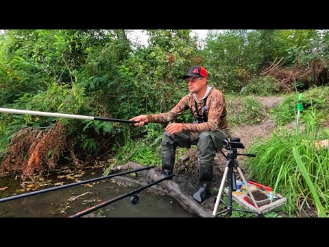 Видео: ГОРБАТІ БОЛОТНІ КАРАСІ на ПОПЛАВОК ПЕРЕД ГРОЗОЮ! Рибалка на Карася 🎣