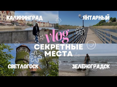 Видео: VLOG: ЖИЗНЬ В КАЛИНИНГРАДЕ💖🌊 Показываю любимые места подружке. Зеленоградск, Светлогорск, Янтарный