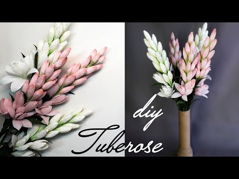 Видео: Тубероза - "королева ночи"