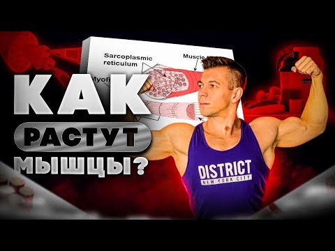 Видео: СКОЛЬКО ПОВТОРЕНИЙ ДЕЛАТЬ НА МАССУ? СИЛОВЫЕ V.S. МНОГОПОВТОРКА