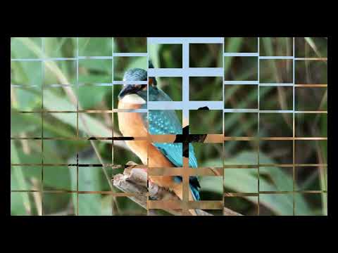Видео: Предновогодние птички