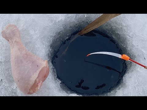 Видео: БОЛОТНЫЕ МОНСТРЫ в ЭТОЙ ЛУНКЕ...Крупняк и МЯСО первого льда!   Зимняя рыбалка 2023