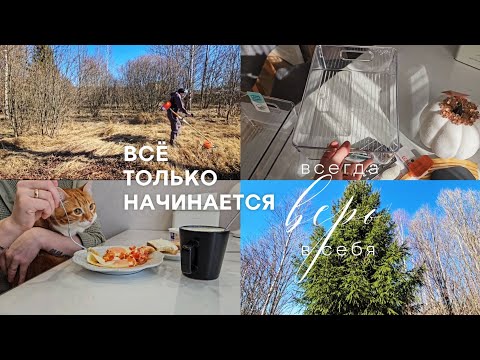 Видео: Мы купили земельный участок | Начинаем строительство дома | Завтрак с Зефиркой | Покупки из FixPrice
