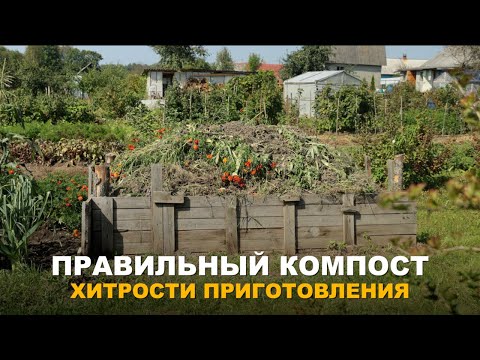 Видео: БЮДЖЕТНОЕ, ДОСТУПНОЕ И ЦЕННОЕ ДЛЯ ОГОРОДА УДОБРЕНИЕ. Как правильно приготовить компост.