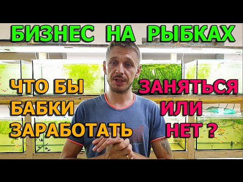 Видео: Бизнес идея на рыбках. Пройти мимо или остаться?