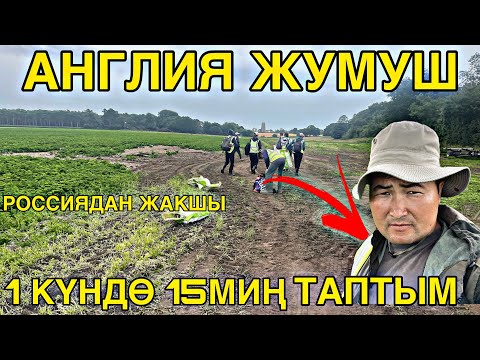 Видео: Англияда жумуш ушундай айлык 200миңден ашык #кыргызстан #rek #жанылыктартоптому #жалалабадмалбазары