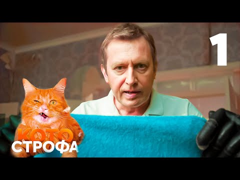 Видео: Котострофа | Серия 1