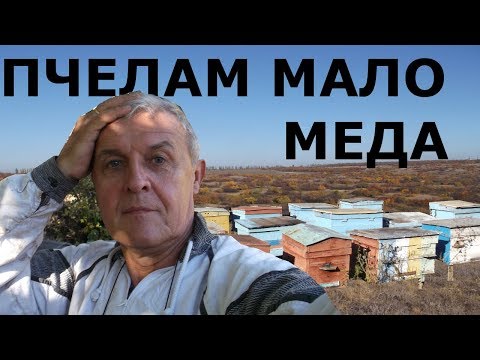 Видео: А если мало меда пчелам на зиму...? Осень. Октябрь.