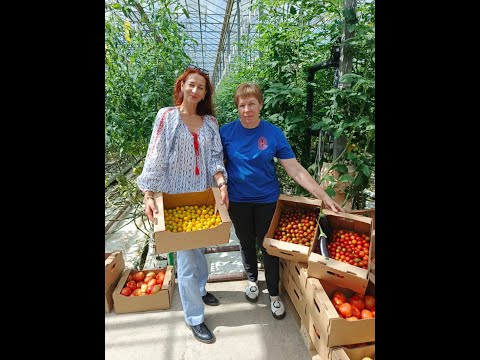 Видео: Агрокомбинат Несвижский.Беларусь