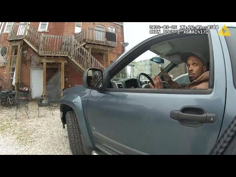 Видео: Полицейский подумал, что простое дорожное движение превращается в нечто большее
