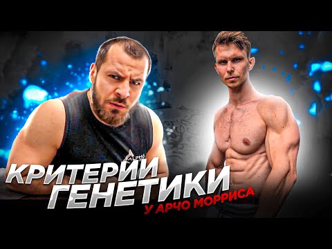 Видео: Критерии генетики у Арчо Мориса