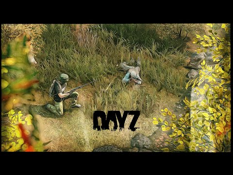 Видео: Это могло быть ИДЕАЛЬНОЕ ВЫЖИВАНИЕ в DayZ