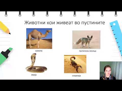 Видео: IV одделение - Природни науки - Животните и нивните живеалишта
