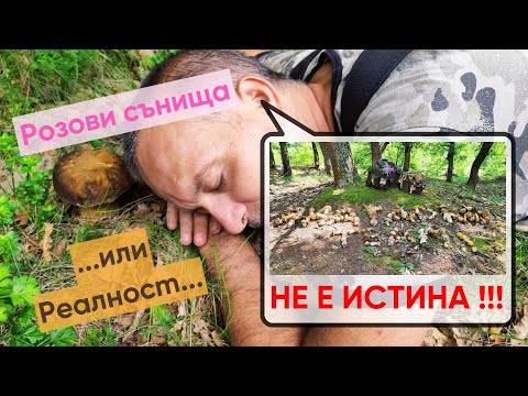 Видео: Откриваме ОГРОМЕН тракийски надпис в Средна гора. Древните траки са писали с Булки и Манатарки!