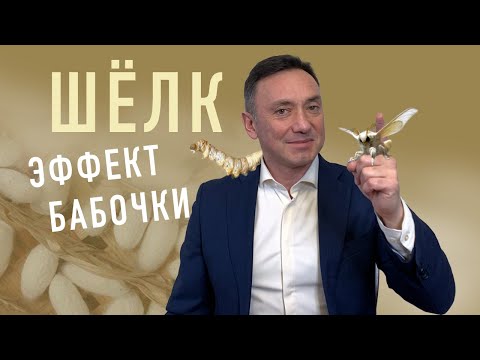 Видео: ШЁЛК, КАК ЕГО ПОЛУЧАЮТ ИЛИ ЭФФЕКТ БАБОЧКИ