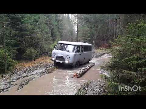 Видео: 11 ноября 2025 г.