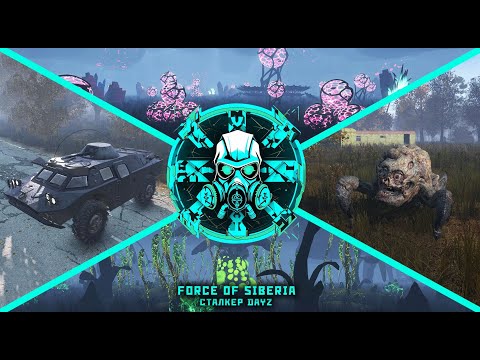 Видео: DayZ STALKER PVE| FORCE OF SIBERIA 2. Мёртвый город.