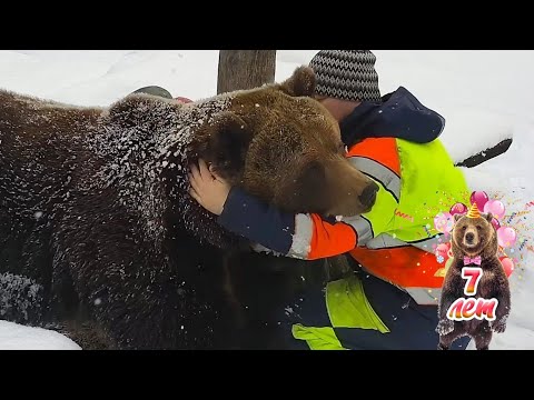 Видео: Папка с ДР поздравляет, я смотрел и ждал тебя. Медведь Мансур 🐻💕