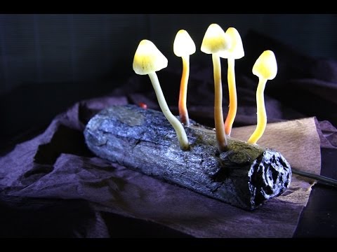 Видео: светильник ночник Светящиеся светодиодные грибы - мастер-класс_6: