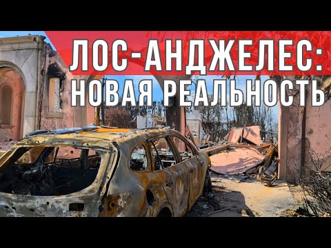 Видео: Лос-Анджелес ПОСЛЕ ПОЖАРОВ глазами Риелтора. Уборка района Pacific Palisades.