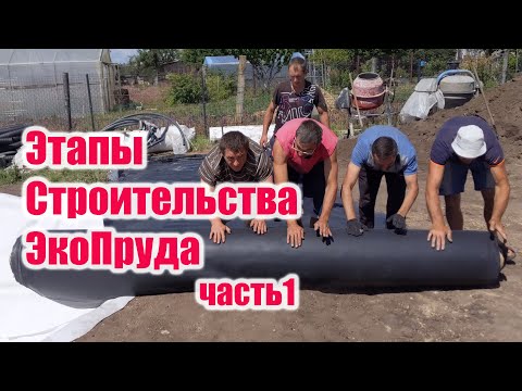 Видео: Этапы строительства экопруда часть1