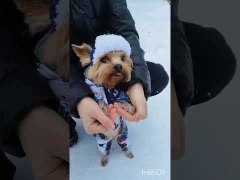 Видео: вязание из плюша