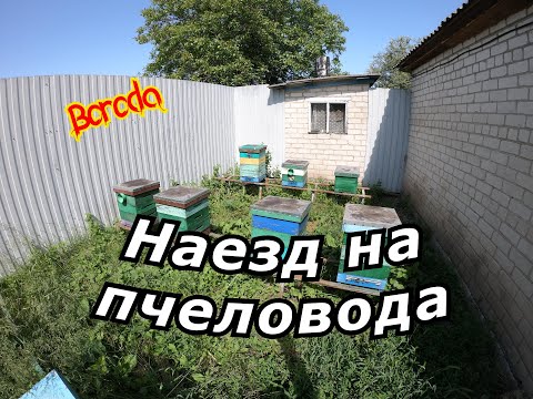 Видео: Крутой наезд пчеловодов