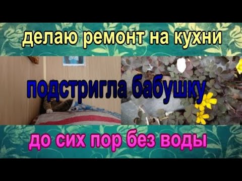 Видео: делаю ремонт на кухне // подстригла бабушку // до сих пор без воды!