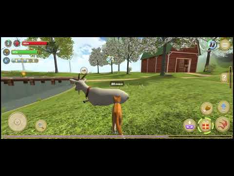 Видео: 30 октября 2025 г.