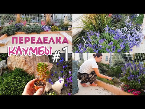 Видео: ⭐ОШИБКИ НОВИЧКА В СОЗДАНИИ КЛУМБЫ I переделка цветника I ПОСАДКА РАСТЕНИЙ - клумба #1