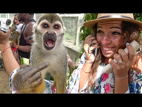 Видео: Опасная Доминикана