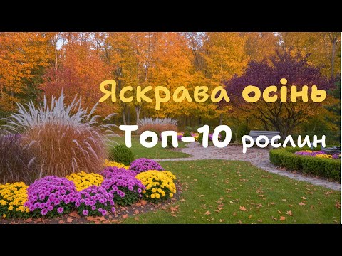 Видео: 10 рослин які прикрасять ваш сад восени.