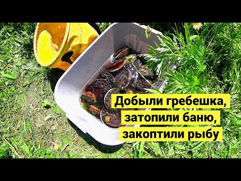 Видео: Добыли гребешка, затопили баню, закоптили рыбу // Catching and Cooking (Eng Subs)